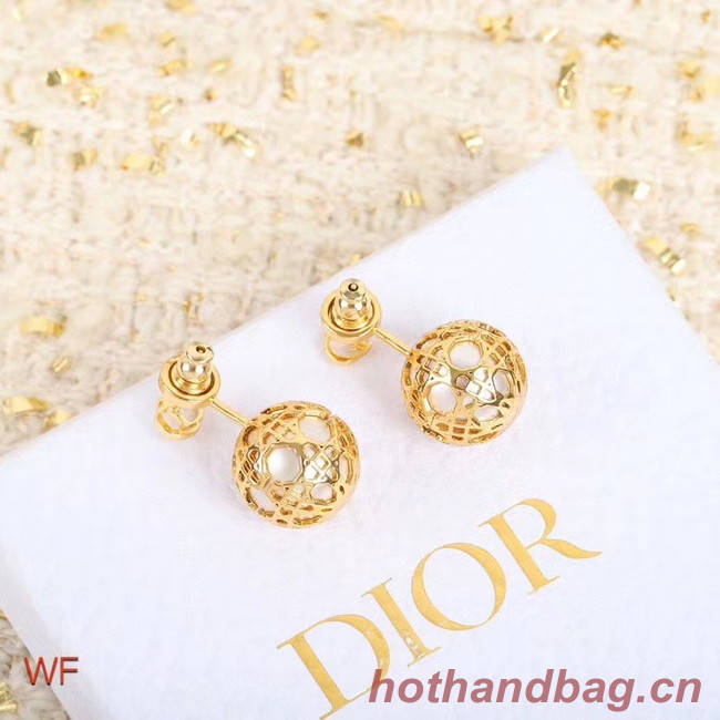 Dior Earrings CE5254