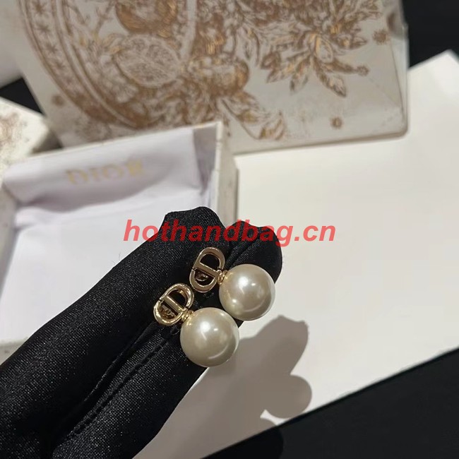 Dior Earrings CE9869