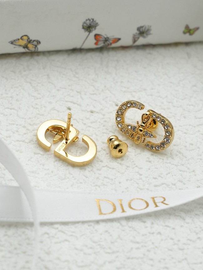 Dior Earring CE16634