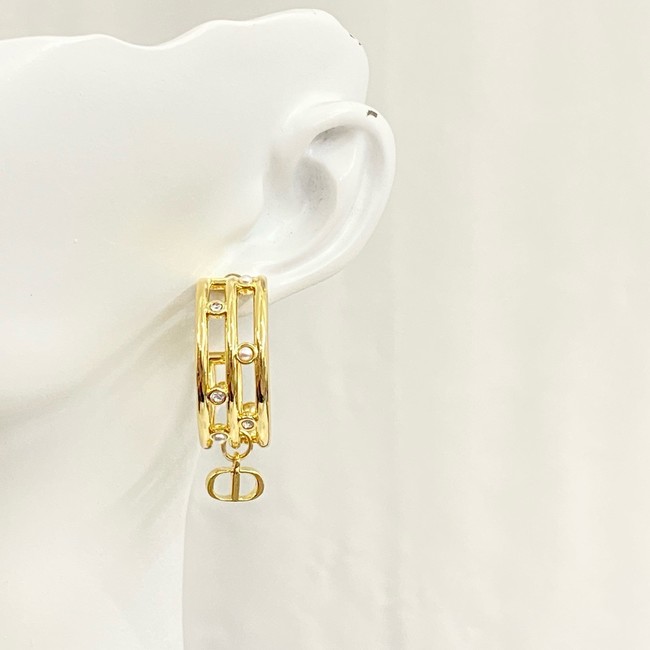 Dior Earring CE16833
