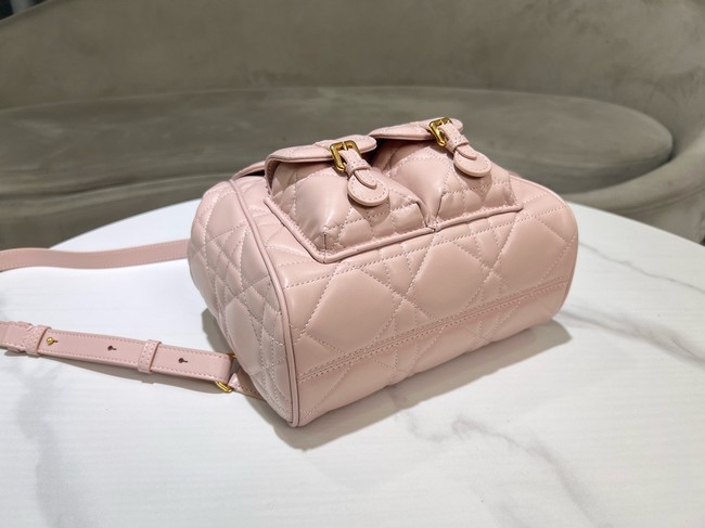 DIOR Medium Dior Caro Backpack M6301UN pink