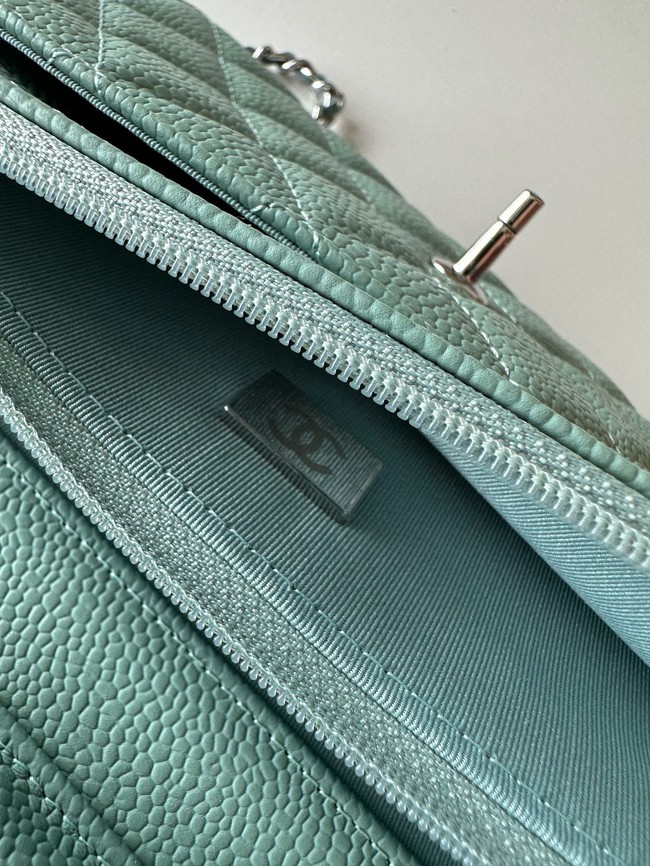 Chanel Classic Wallet On Chain Grained Calfskin AP4241-4