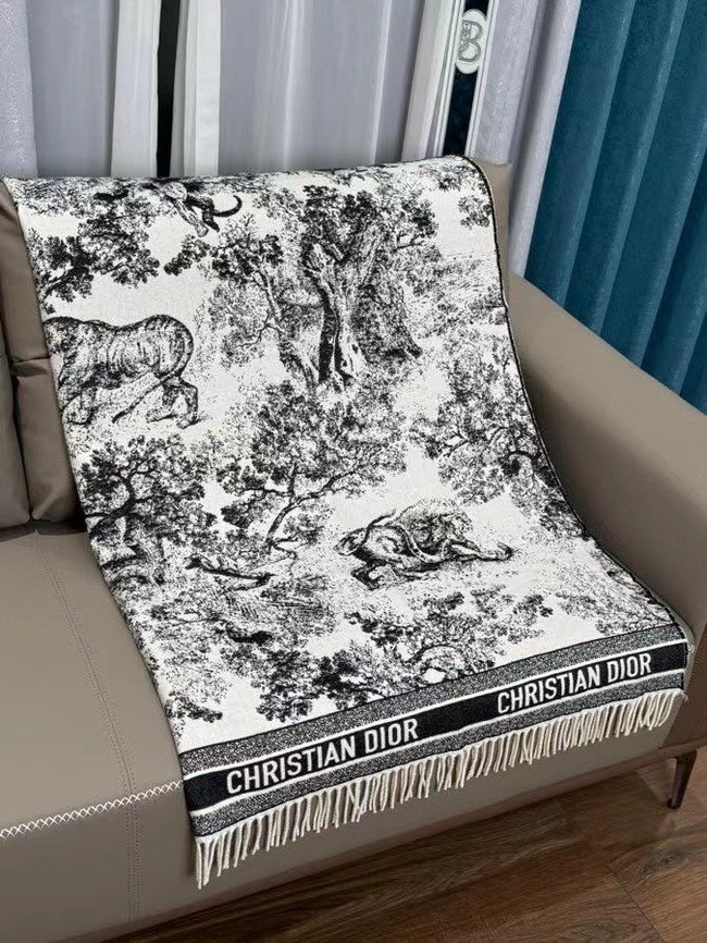 Dior Oblique Poncho Cashmere  21DOB3