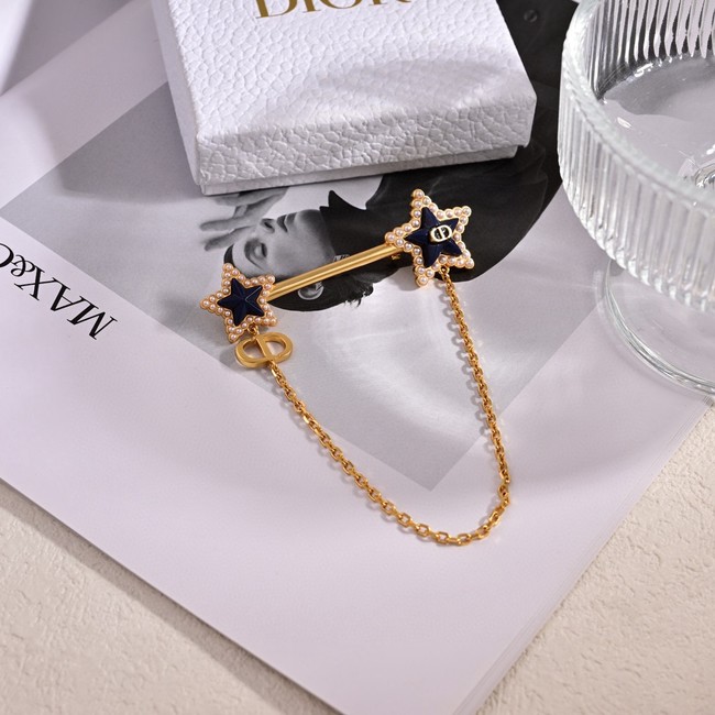 Dior brooch CE81137