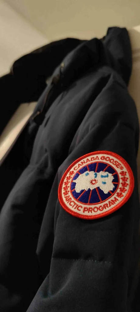 fake canada goose