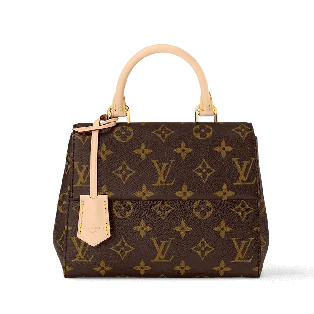 Louis vuitton cluny mini monogram canvas handbags