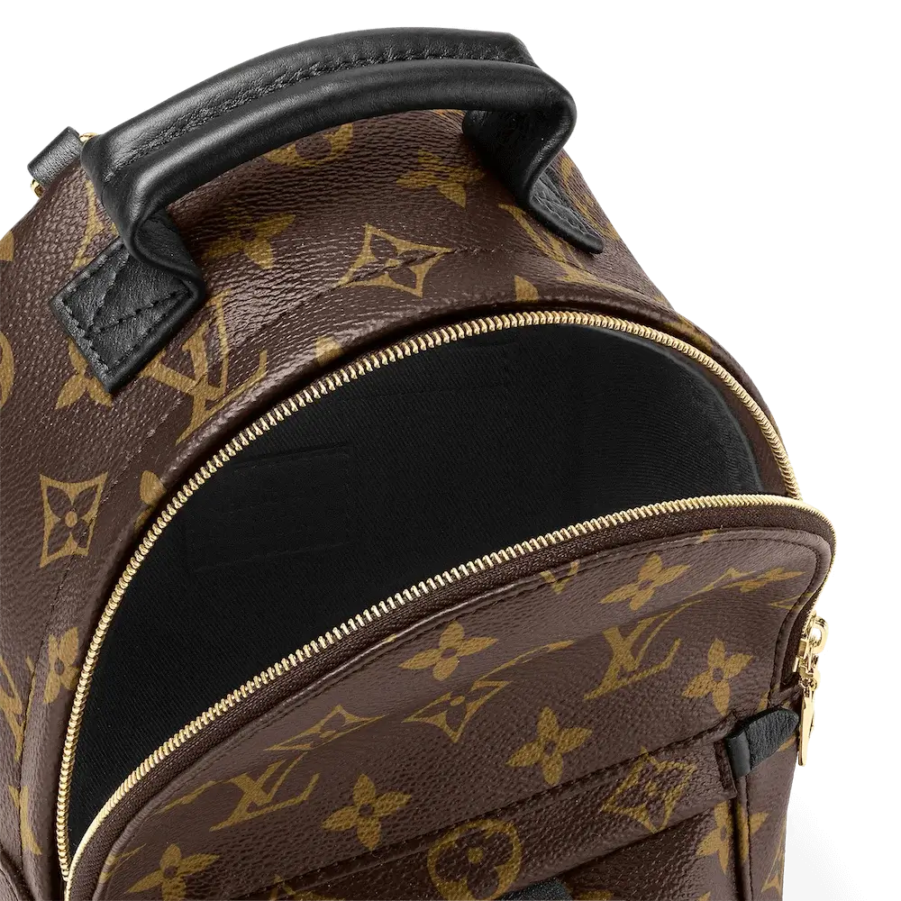 Louis Vuitton Palm Springs MM Backpack in Monogram Canvas Interior pockets 2
