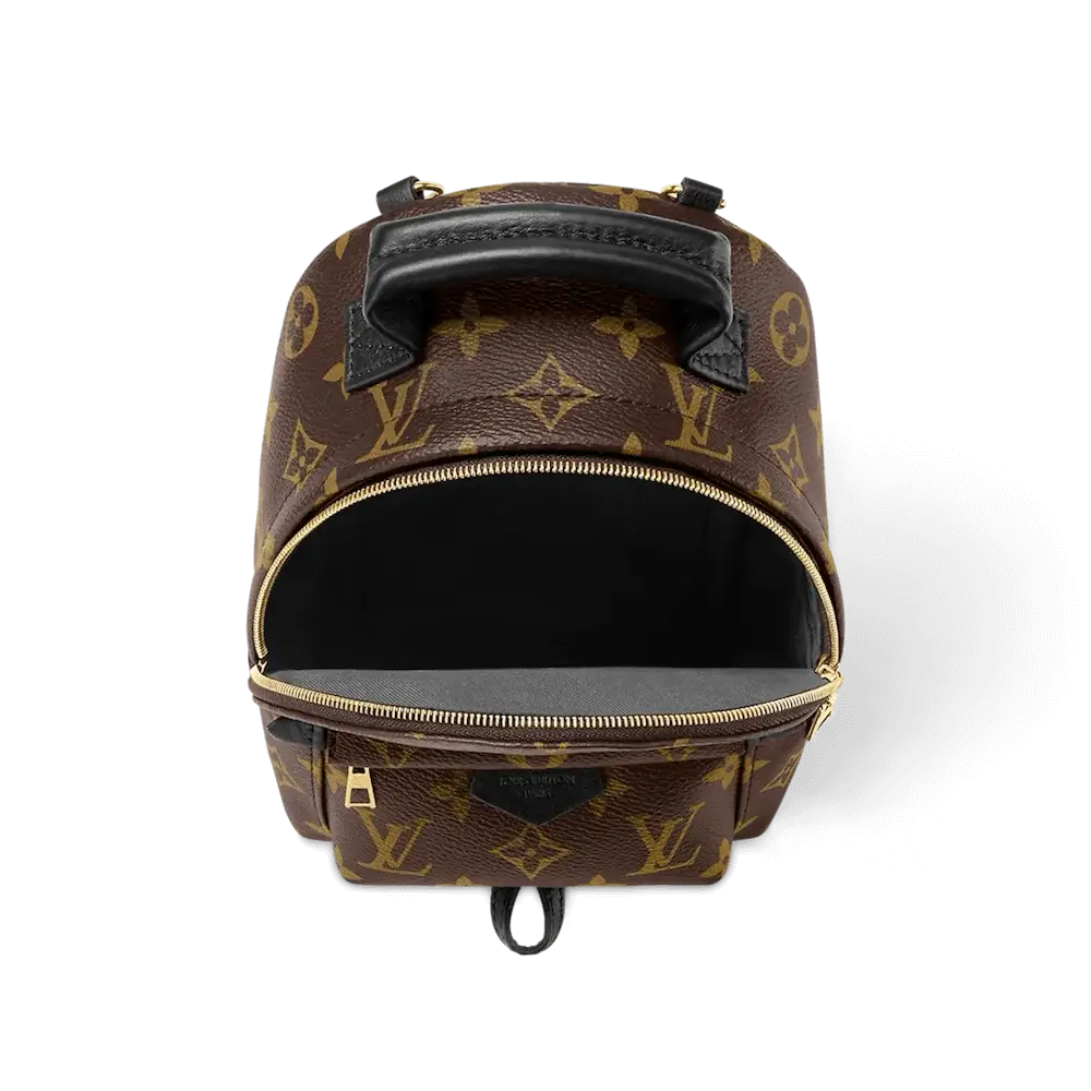 Louis Vuitton Palm Springs MM Backpack in Monogram Canvas Interior pockets