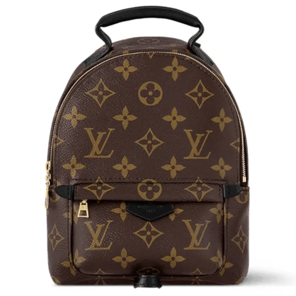 Louis Vuitton Palm Springs Mini Backpack in Monogram Canvas