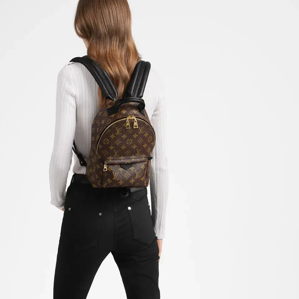 Louis Vuitton Palm Springs PM Backpack in Monogram Canvas Model shots