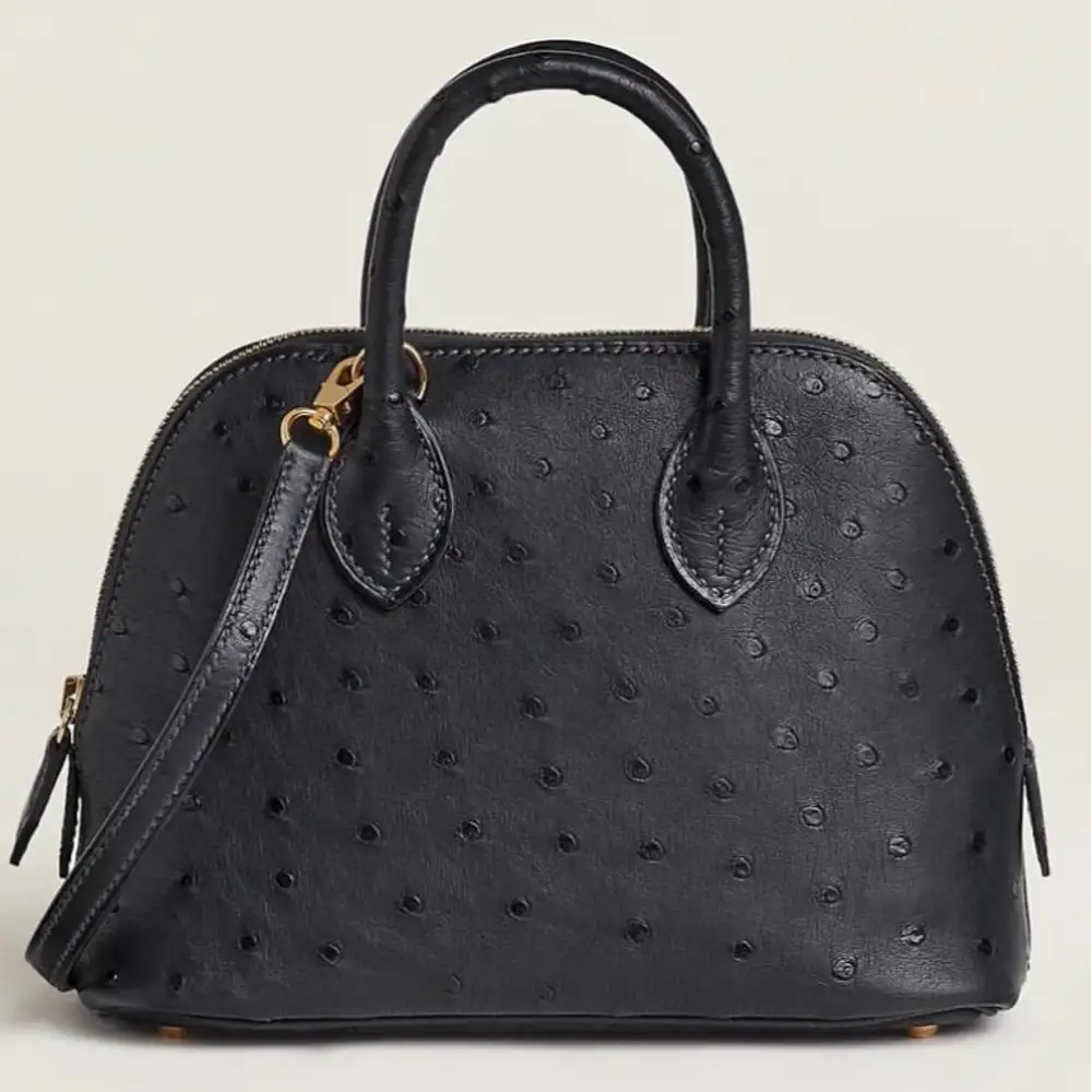 Hermès Bolide 1923 mini bag in Ostrich Caban