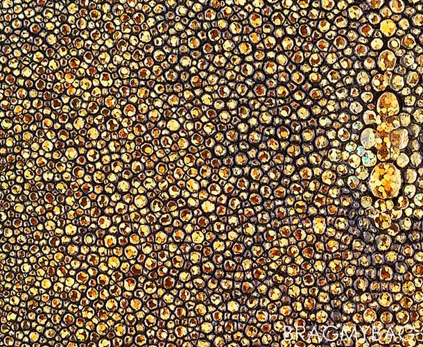 chanel-galuchat-leather chanel galuchat leather