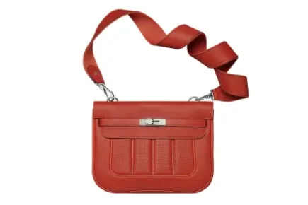 Hermes Berline Bag featured images