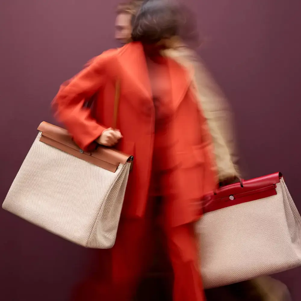 Hermes Herbag Zip Cabine Bag Model