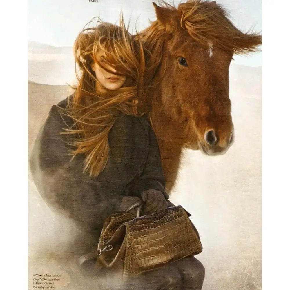 Hermes Oxer Bag Model (1)