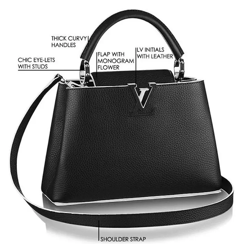 Louis Vuitton Capucines Bag 2