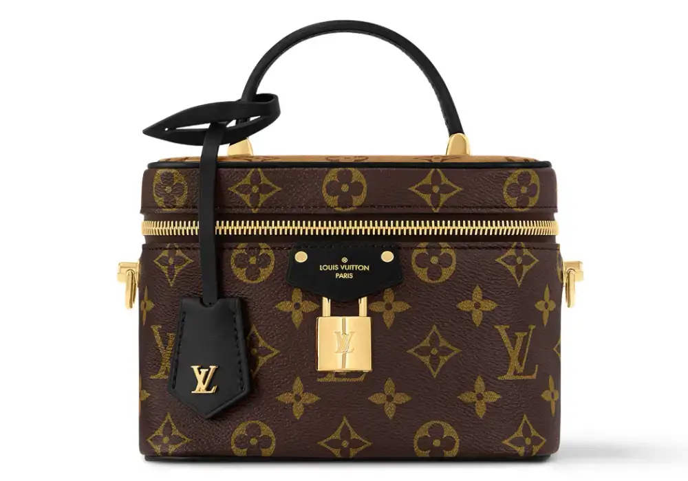 Louis Vuitton Vanity Bag Front Image 2