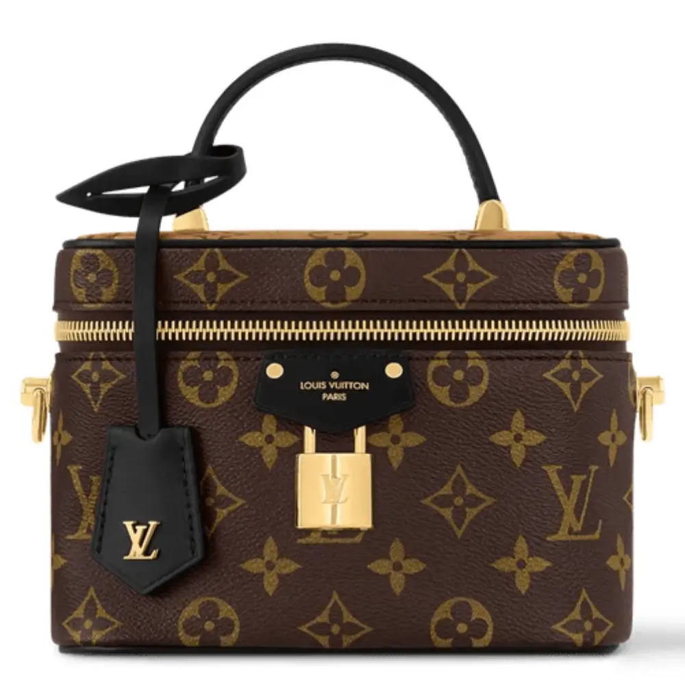 Louis Vuitton Vanity PM Bag in Monogram Canvas