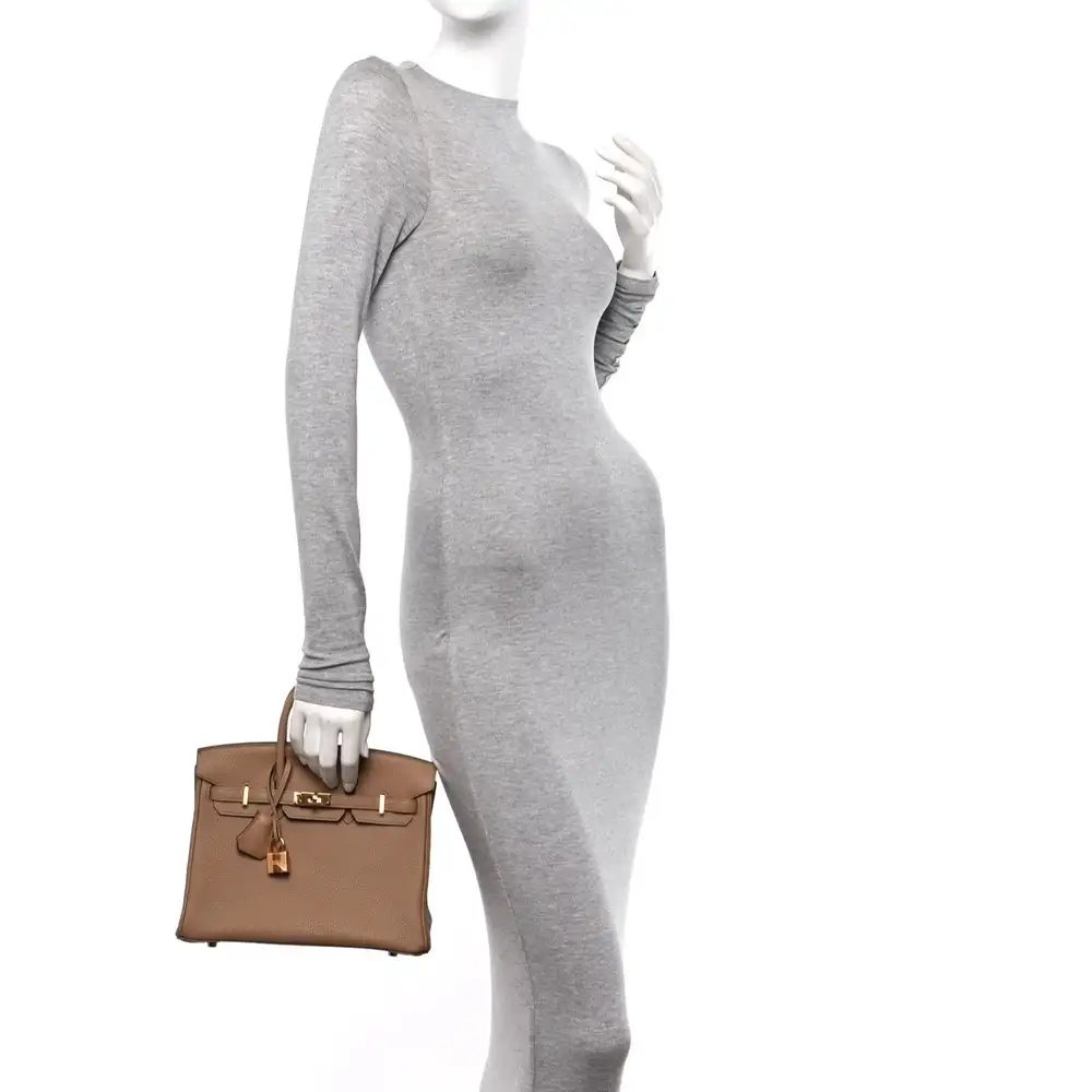 Hermes Birkin 25 Bag in Epsom Gold Model shots 2