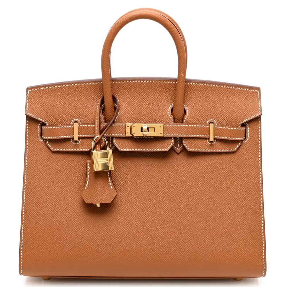 Hermes Birkin 25 Bag in Epsom Gold