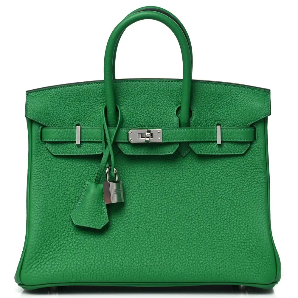 Hermes Birkin 25 Bag in Togo Bamboo