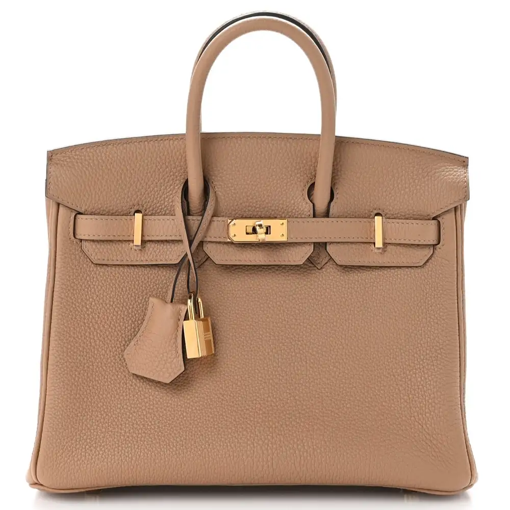 Hermes Birkin 25 Bag in Togo Chai