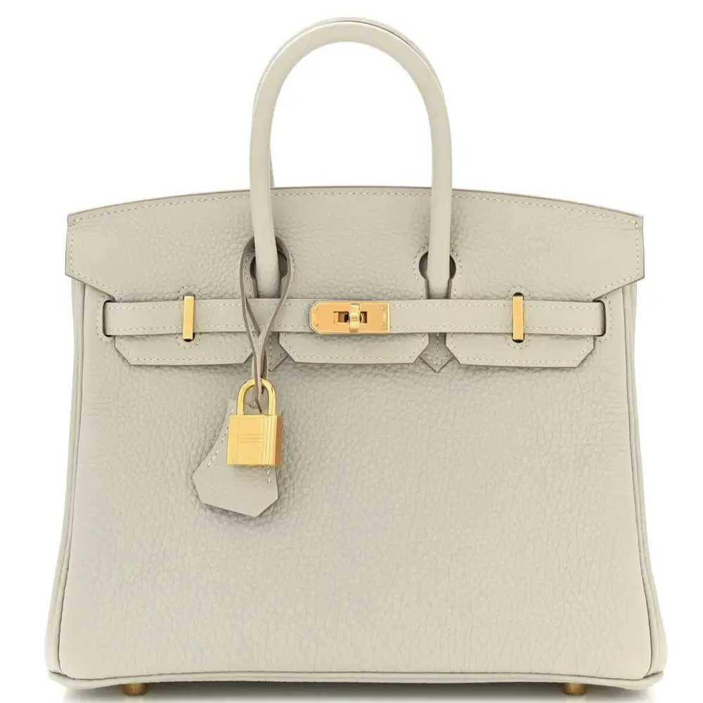 Hermes Birkin 25 Bag in Togo Gris Perle