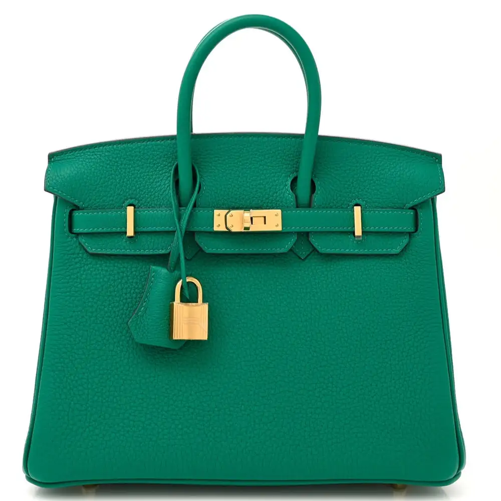 Hermes Birkin 25 Bag in Togo Vert Vertigo