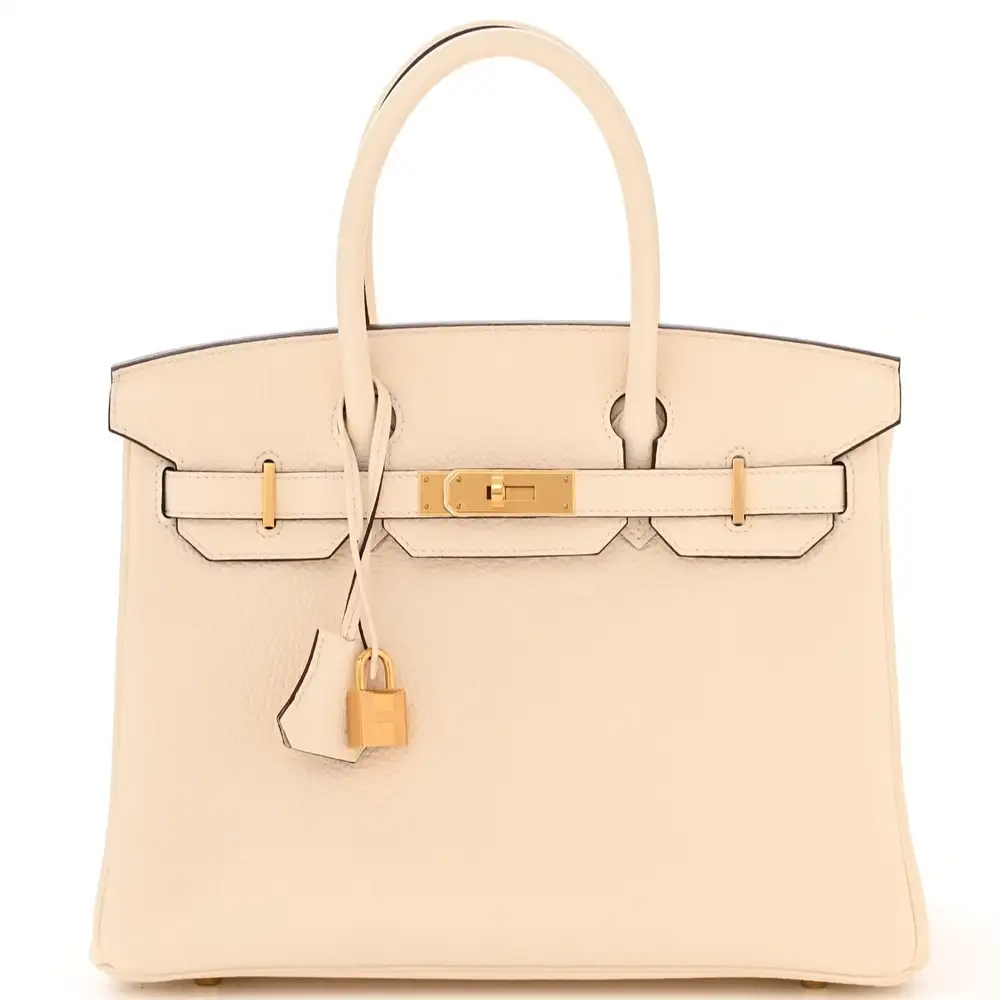 Hermes Birkin 30 Bag in Clemence Nata