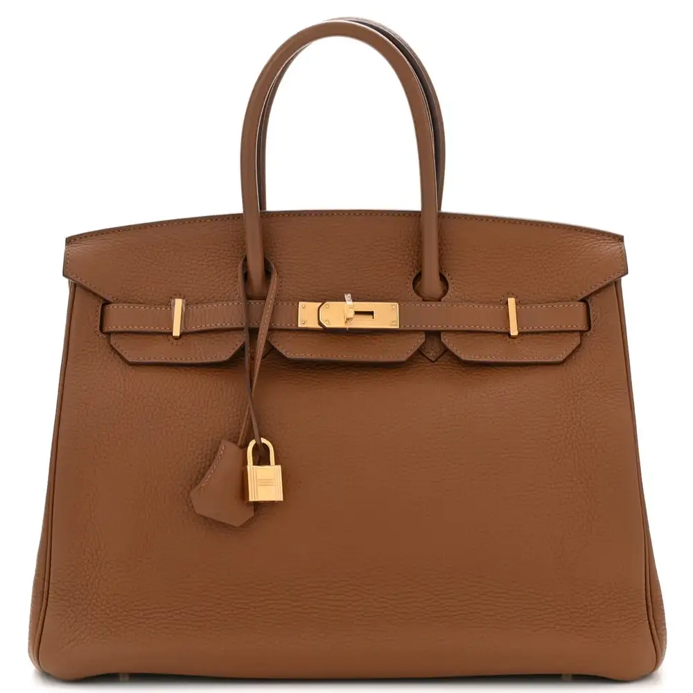 Hermes Birkin 35 Bag in Togo Elezan