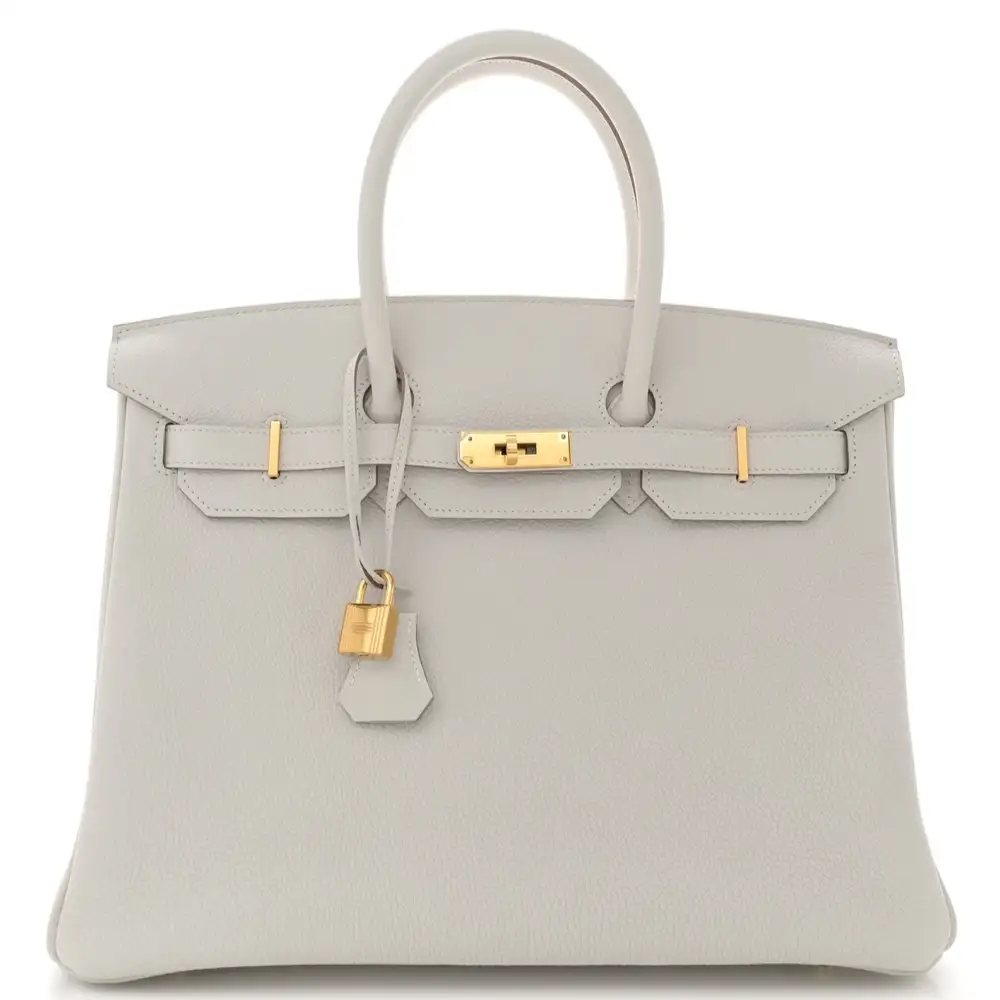 Hermes Birkin 35 Bag in Togo Gris Pale