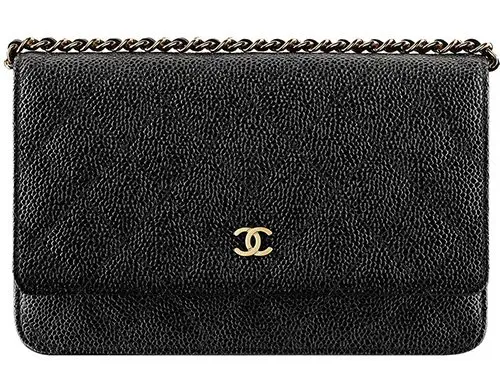 Chanel Classic Quilted Wallet On Chain featured image