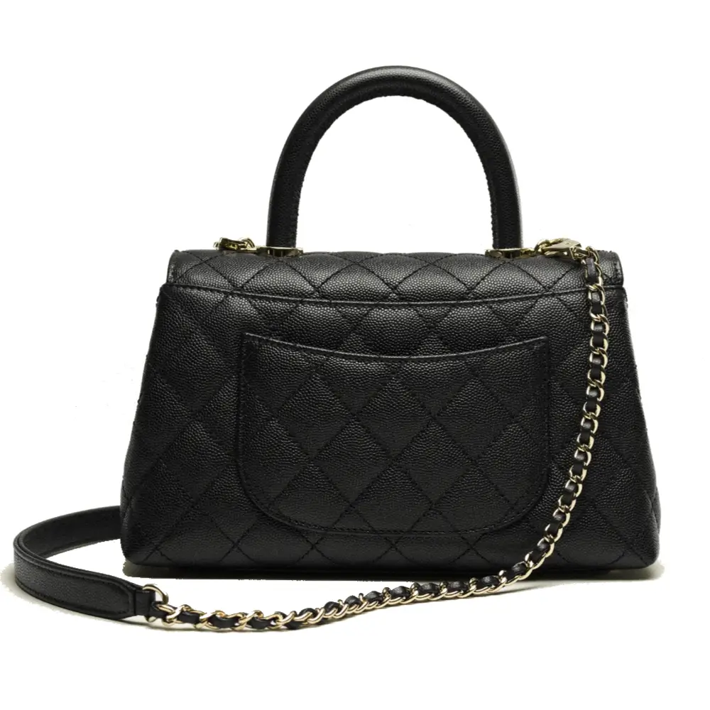 Chanel Coco Handle Bag Back