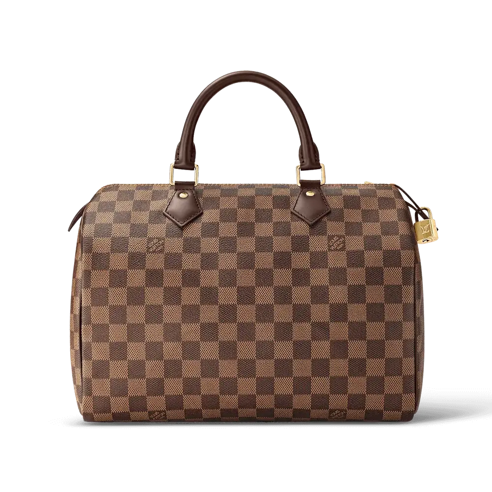 Louis Vuitton Speedy 30 Damier Ebene Canvas Bag