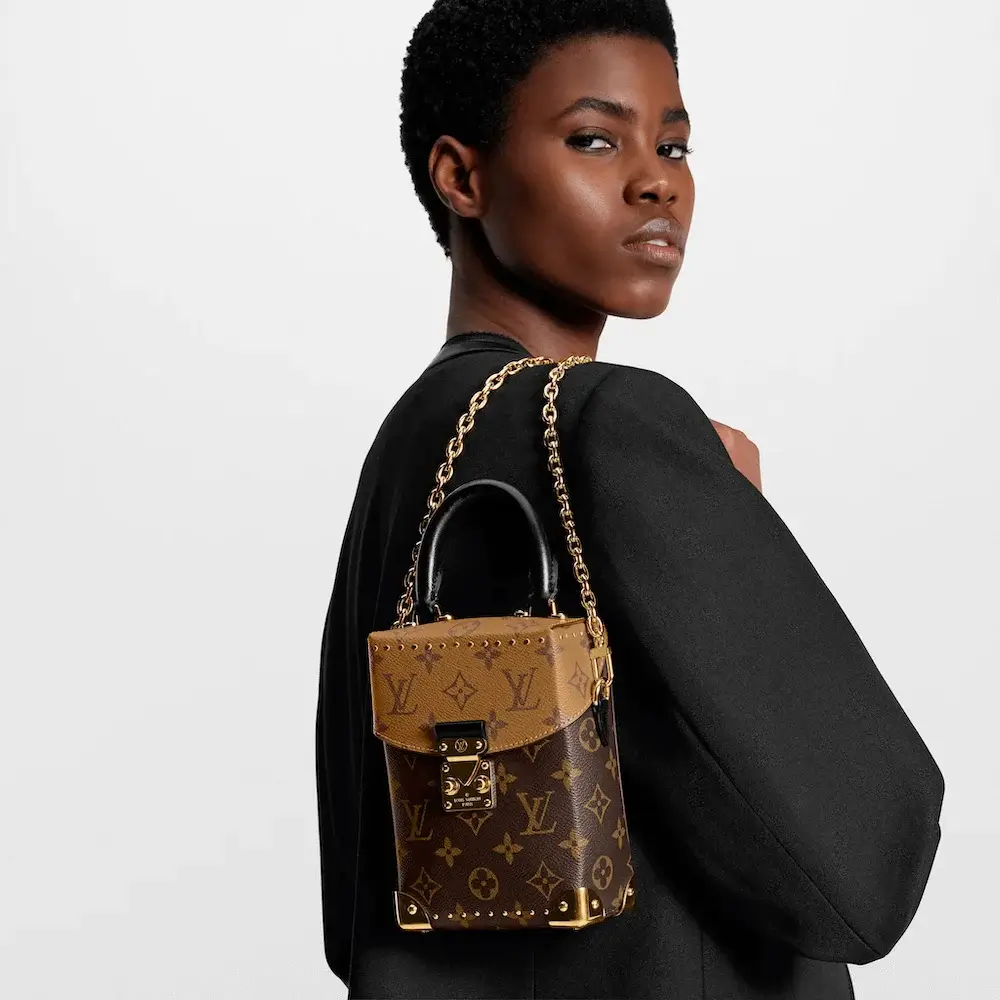 Louis Vuitton Camera Box in Monogram Reverse Model shots