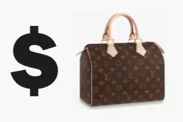 louis vuitton bag prices thumb webp