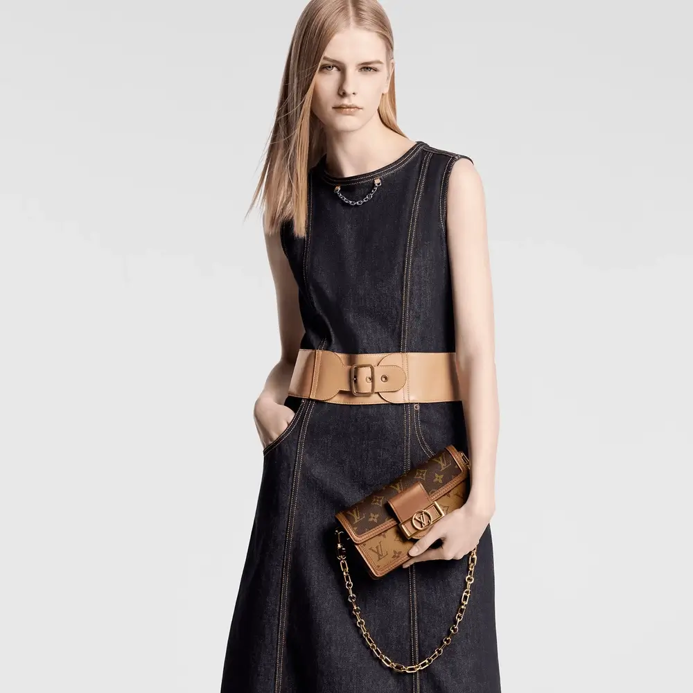 Louis Vuitton Dauphine East West Bag in Monogram Reverse Model shots 2