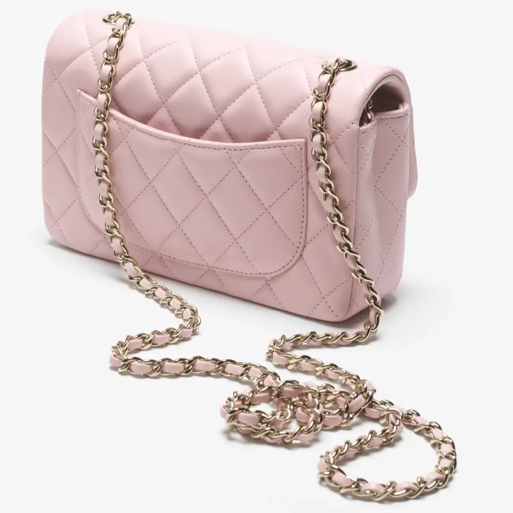 Chanel Mini Flap Bag back