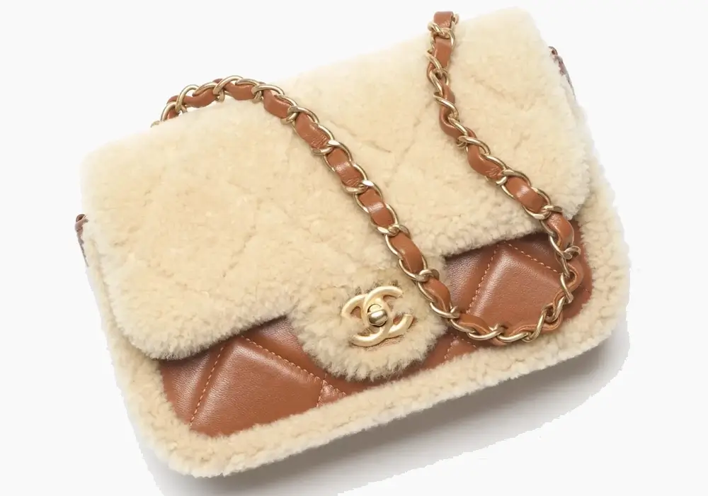 Chanel Mini Flap Bag in Shearling Lambskin Front image