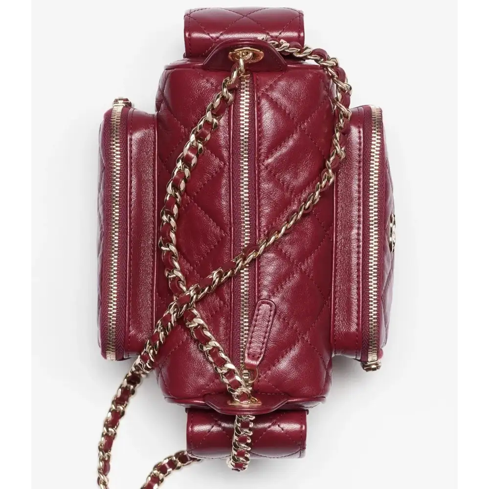 Chanel Small Camera Case in Shiny Crumpled Lambskin Interior pockets 2