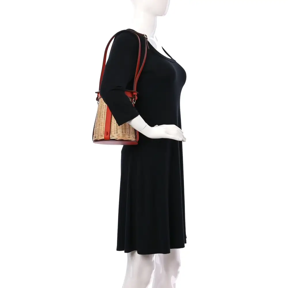 Hermes Farming Picnic Bag in Swift Wicker Model shots