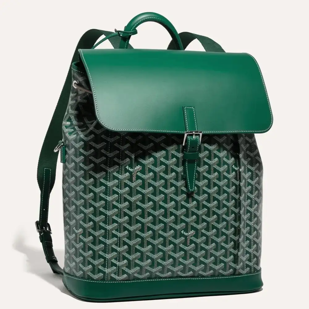 Goyard Alpin MM Backpack 3