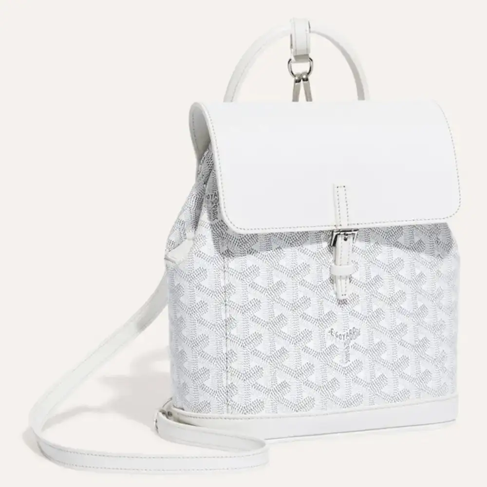 Goyard Alpin Mini Backpack 10