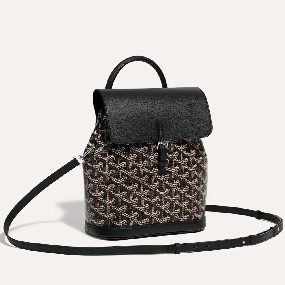 Goyard Alpin Mini Backpack 1b