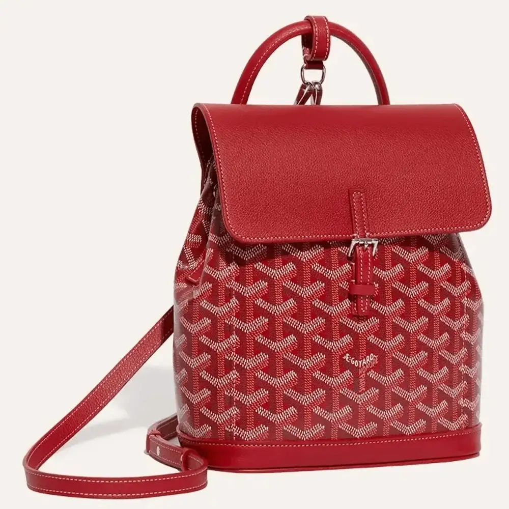 Goyard Alpin Mini Backpack 3