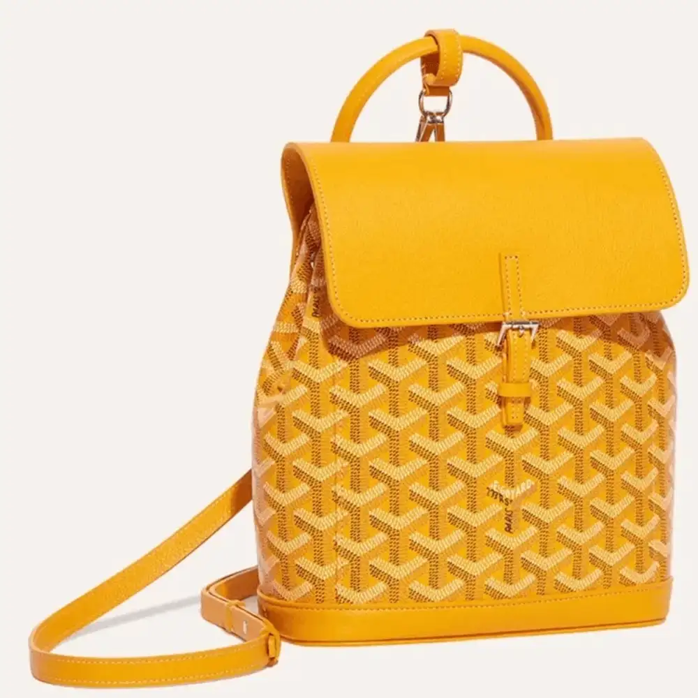 Goyard Alpin Mini Backpack 5