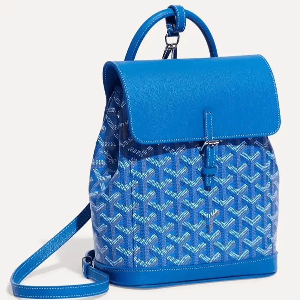 Goyard Alpin Mini Backpack 7
