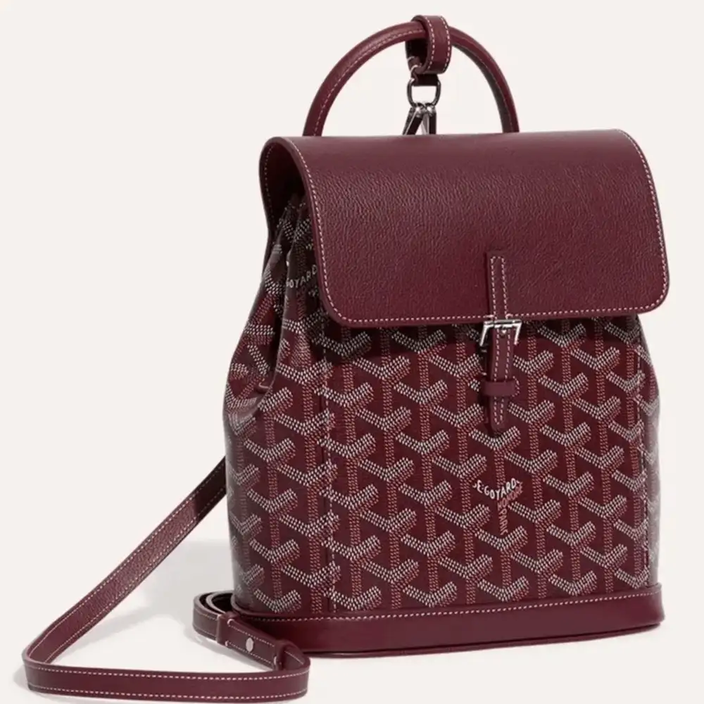 Goyard Alpin Mini Backpack 9