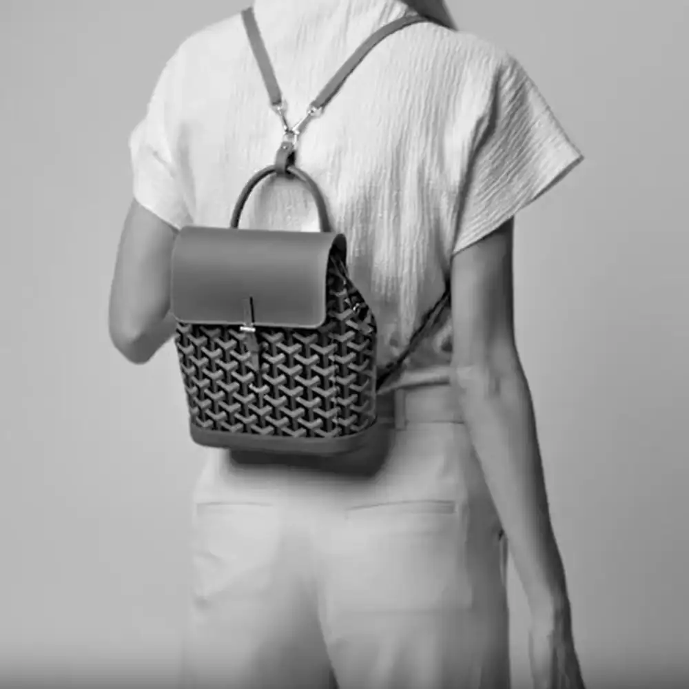 Goyard Alpin Mini Backpack Model shots 2