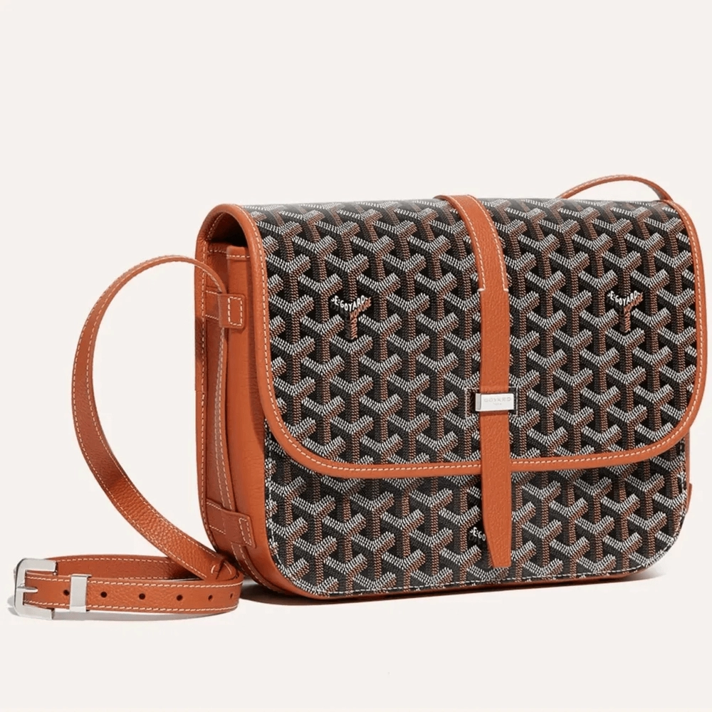 Goyard Belvedere MM Bag 2